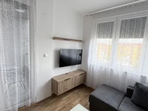 Izdavanje, jednosoban stan, 43m², Adice, Novi Sad Sve Podlokacije - image 2