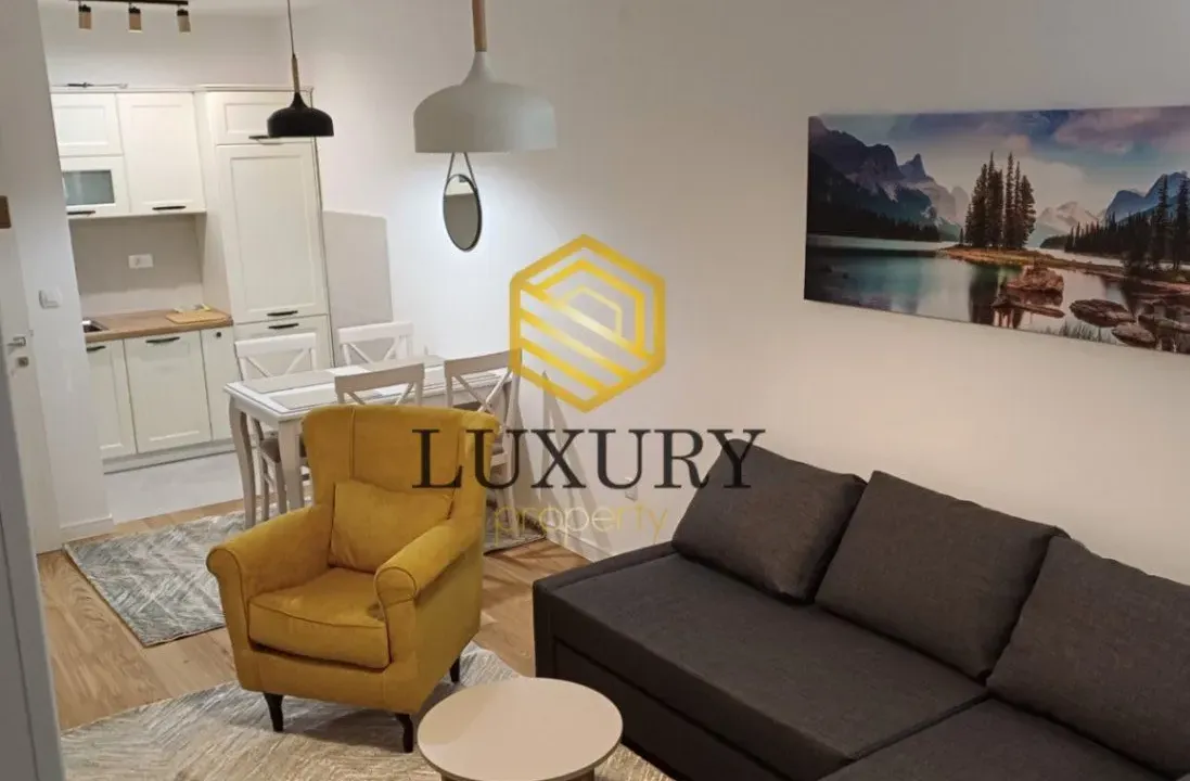 Izdavanje, jednosoban stan, 50m², Central Point, Podgorica