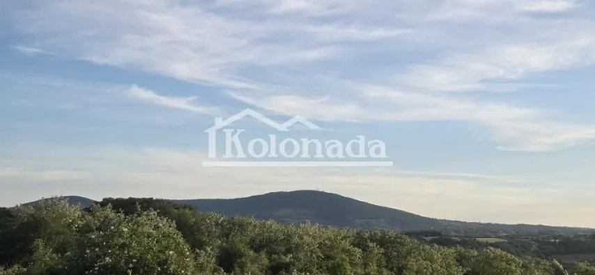 Sale, land lot, 13300m², Djurinci, Sopot