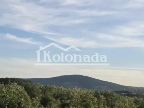 Sale, land lot, 13300m², Djurinci, Sopot - image 4