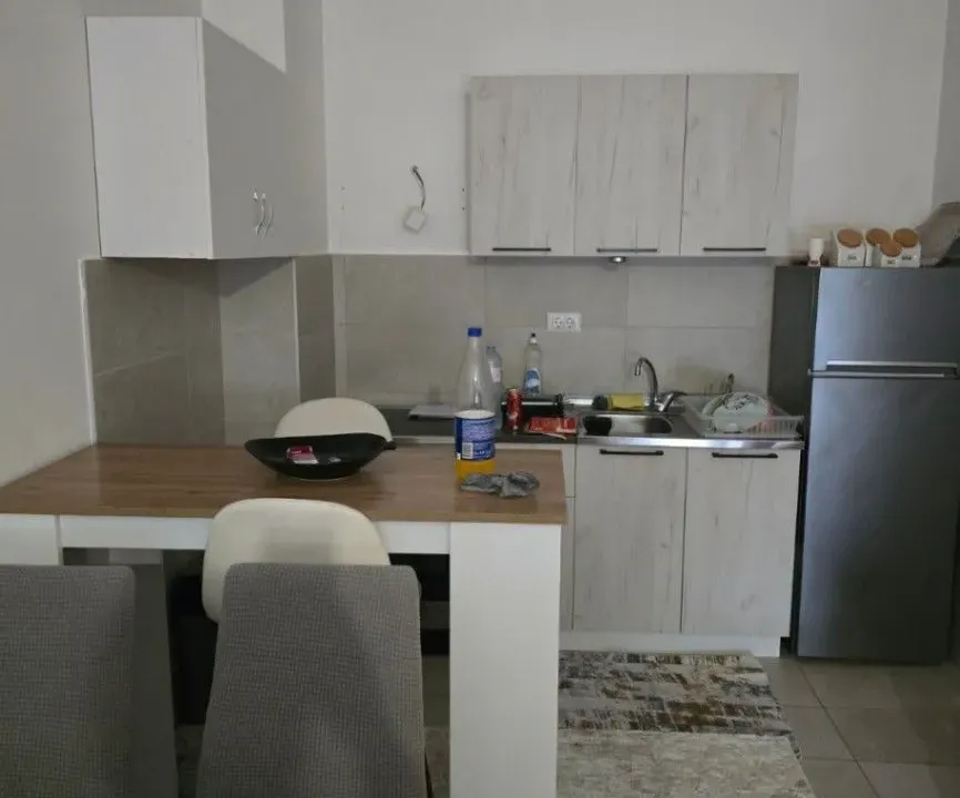 Izdavanje, jednosoban stan, 48m², Stari Aerodrom, Podgorica