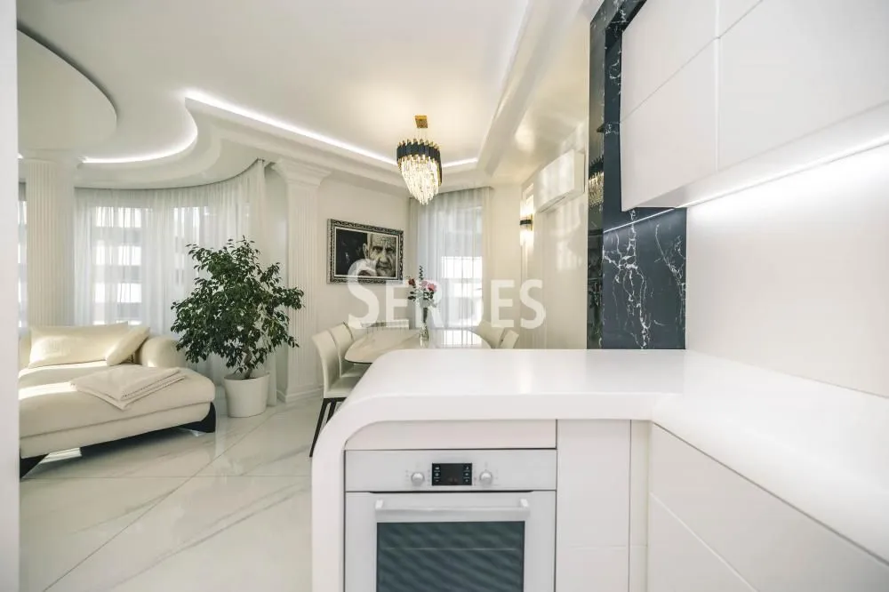 Izdavanje, stan, 360m², Socijalno, Novi Sad Sve Podlokacije