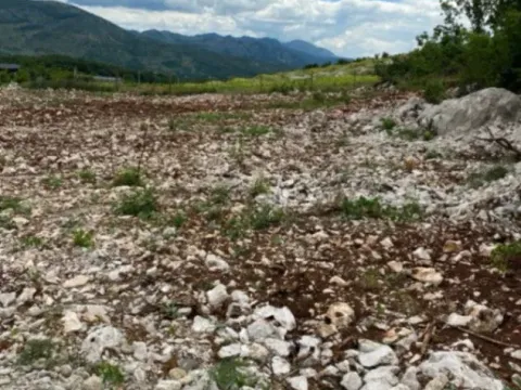 Sale, land lot, 1500m², Piperi, Podgorica - image 5