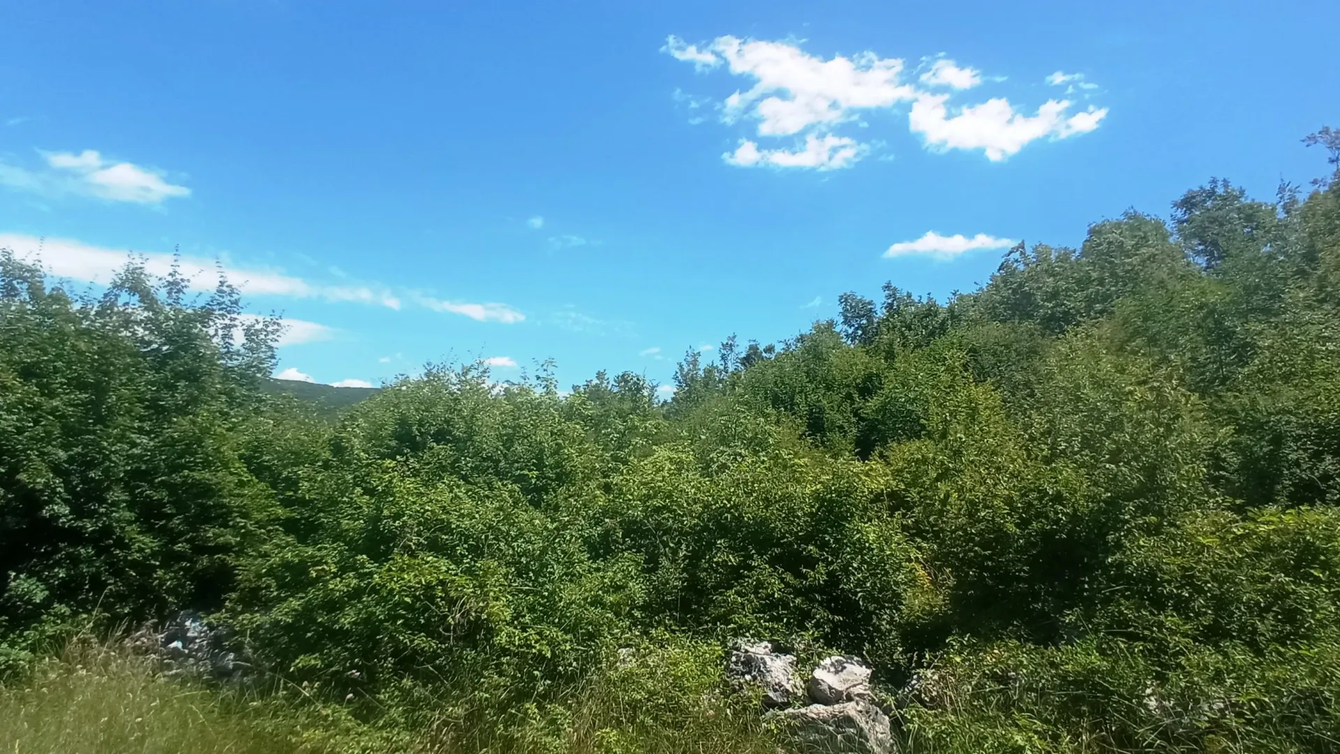 Prodaja, plac, 1500m², Ozrinići, Nikšić