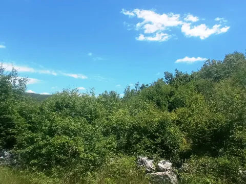 Prodaja, plac, 1500m², Ozrinići, Nikšić - image 3