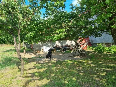 Prodaja, kuća, 345m², Niš, Srbija - image 5