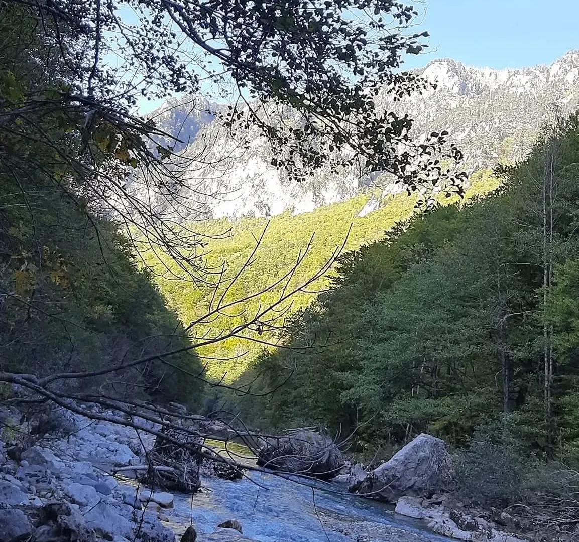 Prodaja, plac, 4000m², Dobrilovina, Mojkovac