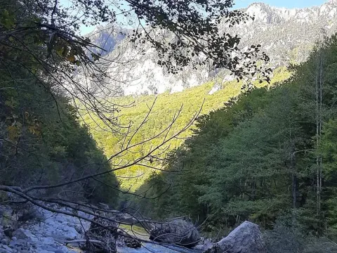 Prodaja, plac, 4000m², Dobrilovina, Mojkovac - image 15