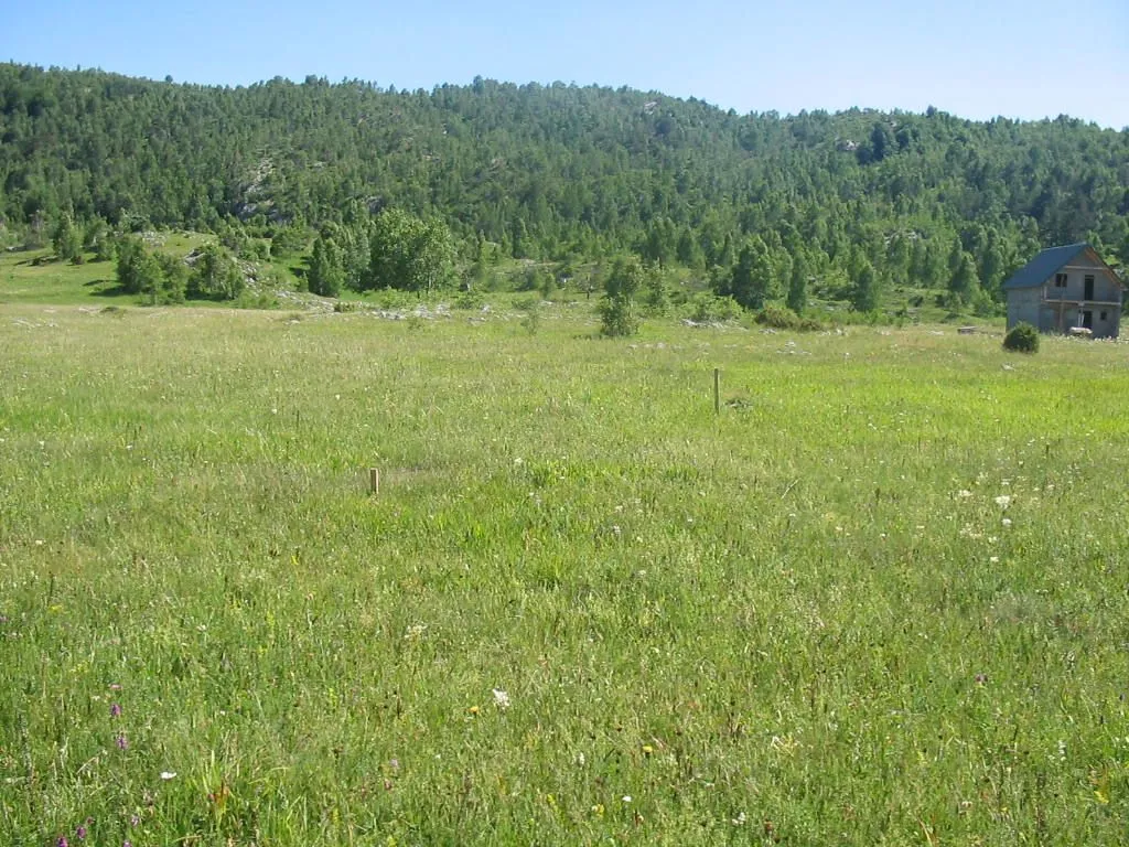 Prodaja, plac, 4696m², Žabljak, Crna Gora