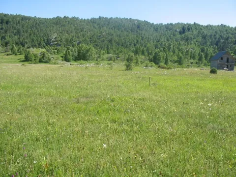 Prodaja, plac, 4696m², Žabljak, Crna Gora - image 3