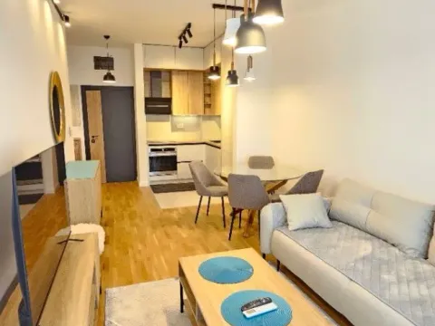 Rent, one bedroom apartment, 45m², Zabjelo, Podgorica - image 3