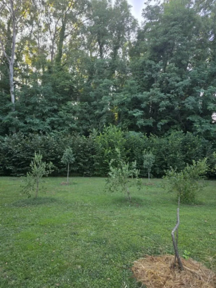 Prodaja, kuća, 200m², Danilovgrad, Crna Gora