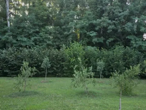 Prodaja, kuća, 200m², Danilovgrad, Crna Gora - image 6