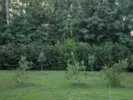 Sale, house, 200m², Danilovgrad, Crna Gora - image 6