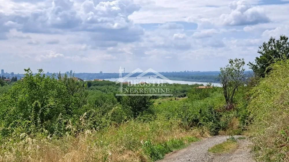 Prodaja, plac, 8064m², Višnjica, Palilula Sve Podlokacije