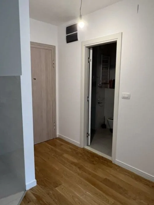 Izdavanje, jednosoban stan, 40m², Central Point, Podgorica