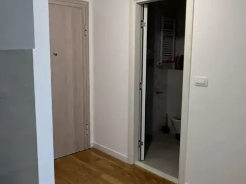 Izdavanje, jednosoban stan, 40m², Central Point, Podgorica - image 7