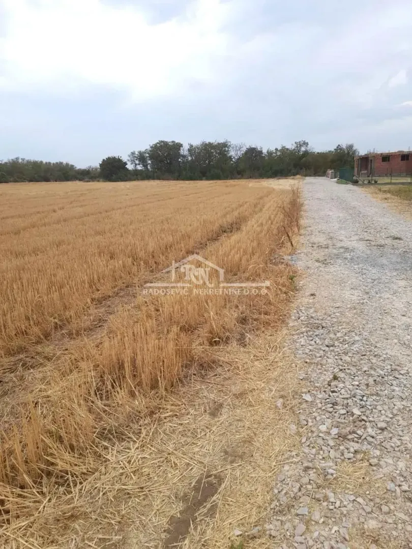 Pogled na prostrano zemljište pored seoskog puta.