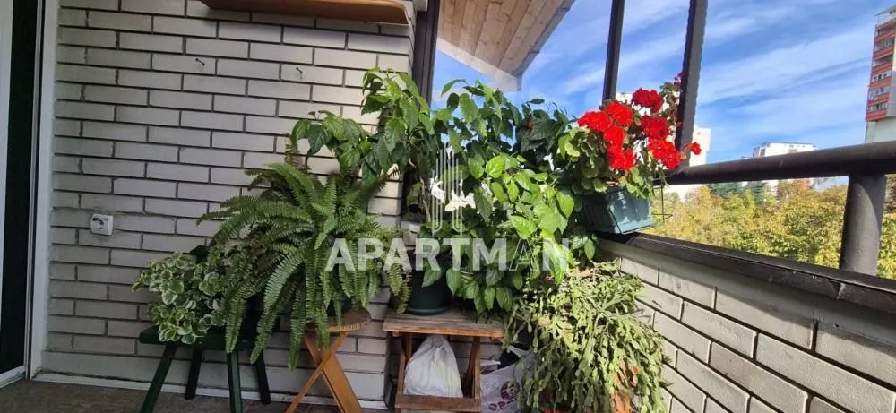Enclosed balcony filled with various houseplants and flowers.