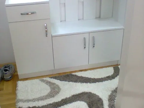 Izdavanje, dvosoban stan, 45m², Beograd, Srbija - image 7