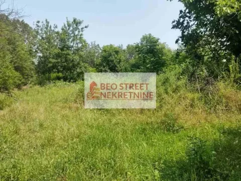 Sale, land lot, 101m², Petrovac na Mlavi, Srbija - image 6