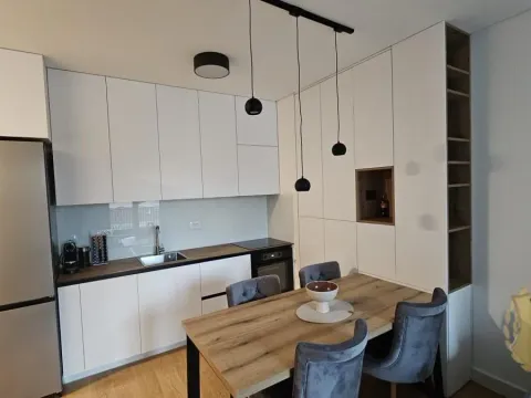 Izdavanje, dvosoban stan, 47m², Vračar Sve Podlokacije, Beograd - image 5