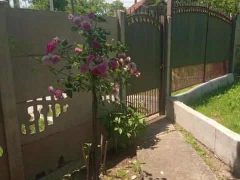 Sale, house, 60m², Mala Moštanica, Obrenovac - image 2