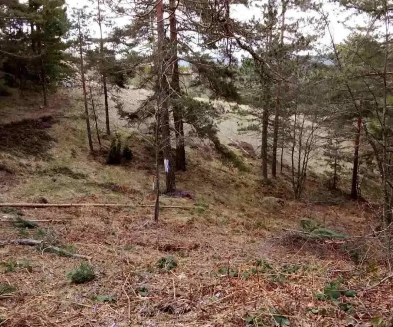 Prodaja, plac, 850m², Divčibare, Valjevo