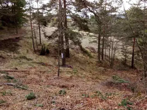 Sale, land lot, 850m², Divčibare, Valjevo - image 7