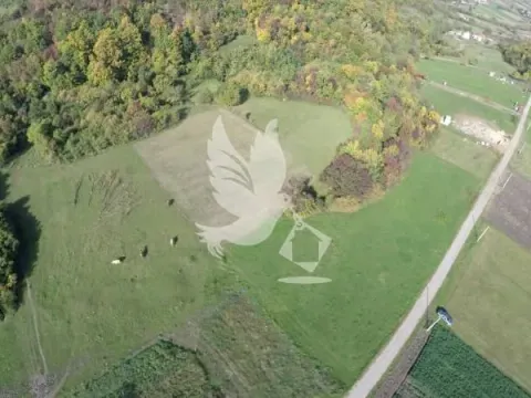 Prodaja, plac, 12500m², Mladenovac, Beograd - image 3