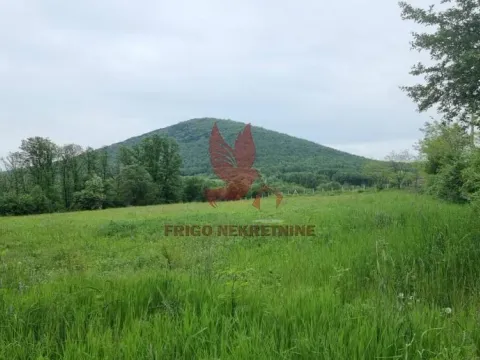 Sale, land lot, 11500m², Kosmaj, Sopot - image 6