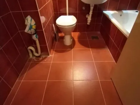 Izdavanje, trosoban stan, 78m², Liman 3, Novi Sad Sve Podlokacije - image 4