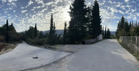 Asfaltirani prilazni put sa drvećem i rastinjem u okolini. - image 13