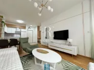 Izdavanje, jednosoban stan, 47m², Stari Aerodrom, Podgorica - image 4