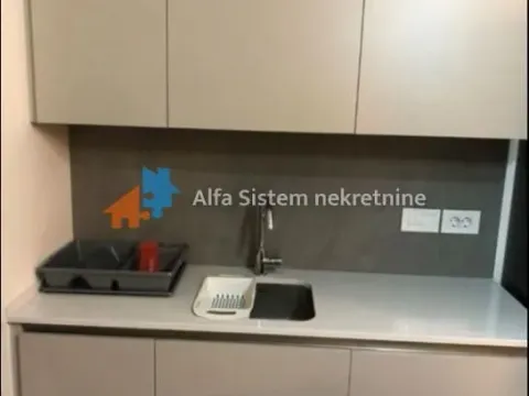 Izdavanje, dvosoban stan, 54m², Savski Venac, Beograd - image 4