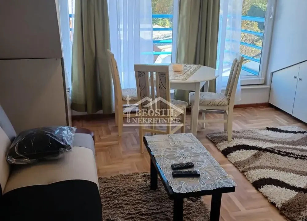 Izdavanje, jednosoban stan, 27m², Olimp, Zvezdara Sve Podlokacije