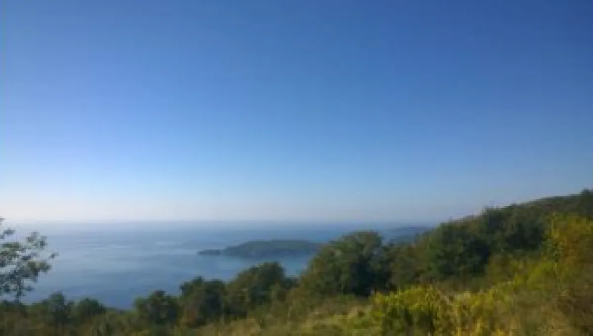 Prodaja, plac, 2500m², Kuljače, Budva