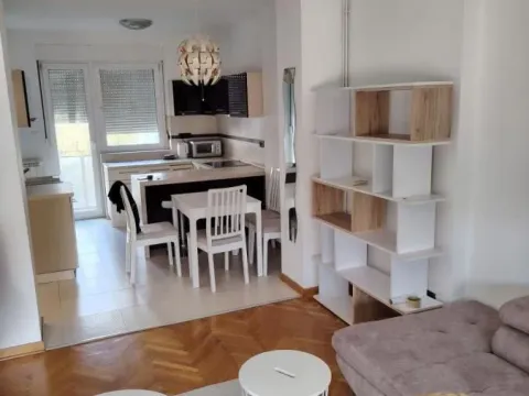 Izdavanje, dvosoban stan, 57m², Stari Grad, Beograd - image 2