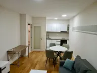 Izdavanje, jednosoban stan, 49m², Central Point, Podgorica - image 3