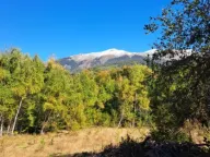 Sale, land lot, 89208m², Padež, Kolašin - image 8