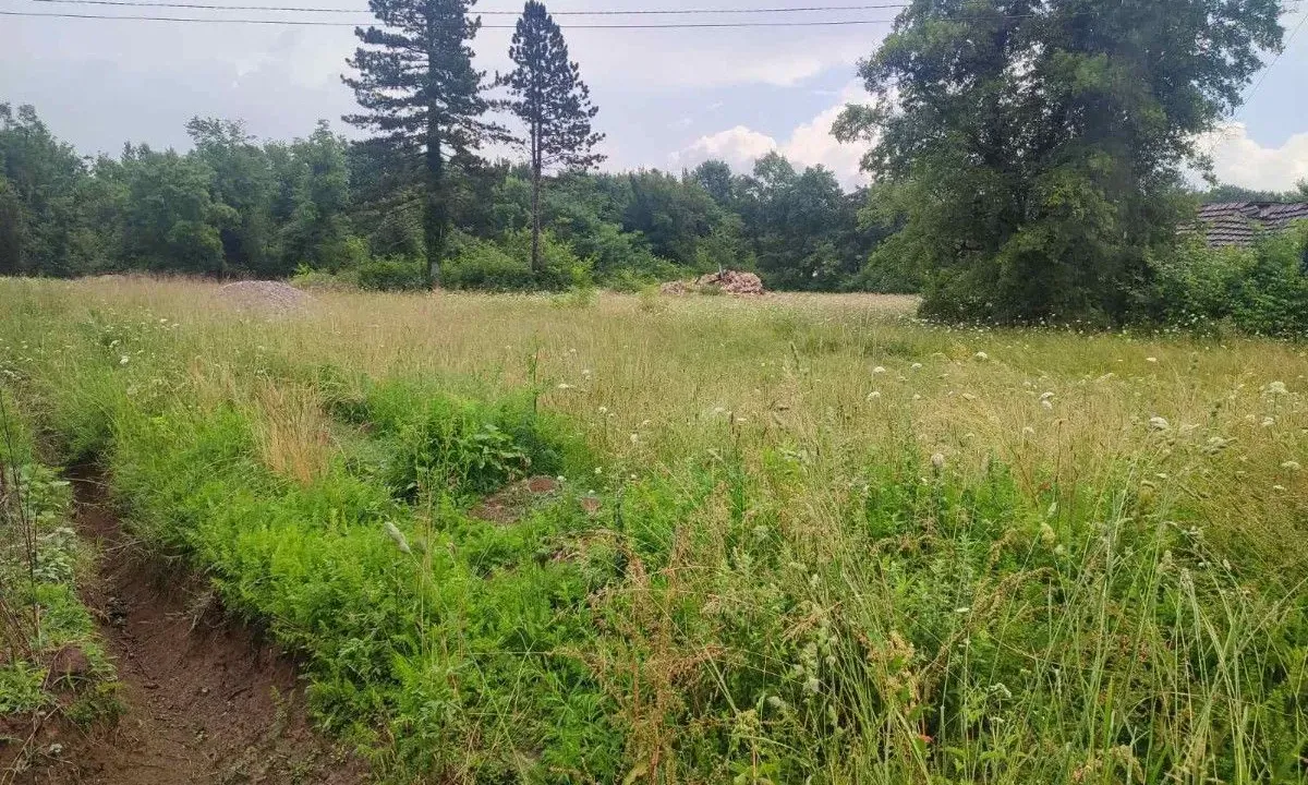 Sale, land lot, 5000m², Ćurilac, Danilovgrad