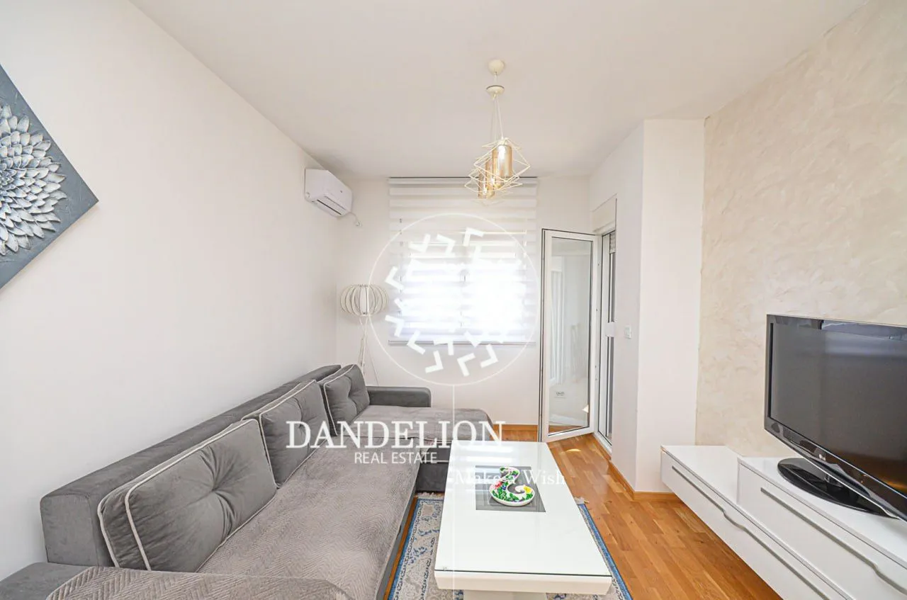 Izdavanje, jednosoban stan, 46m², Stari Aerodrom, Podgorica