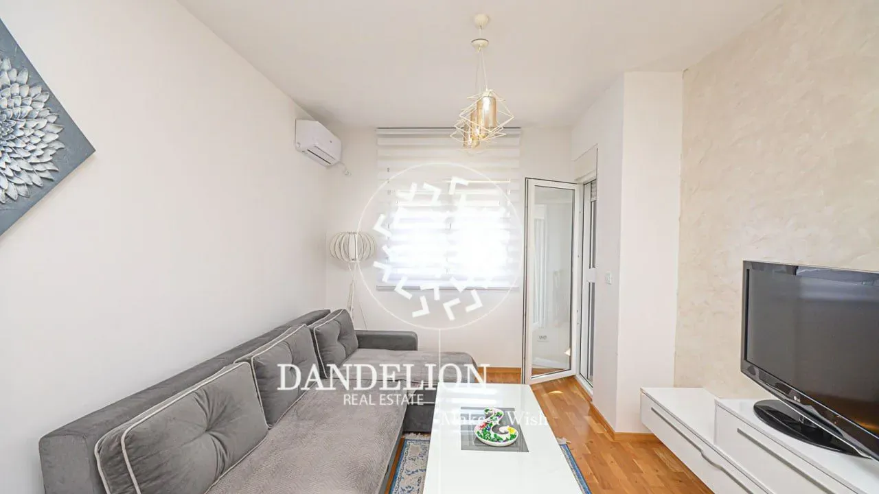 Izdavanje, jednosoban stan, 46m², Stari Aerodrom, Podgorica