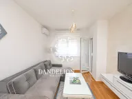 Izdavanje, jednosoban stan, 46m², Stari Aerodrom, Podgorica - image 1