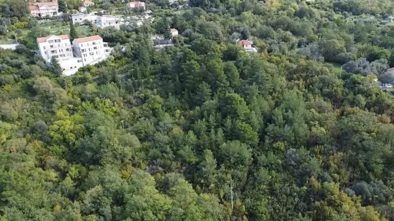 Prodaja, plac, 14900m², Kotor, Crna Gora