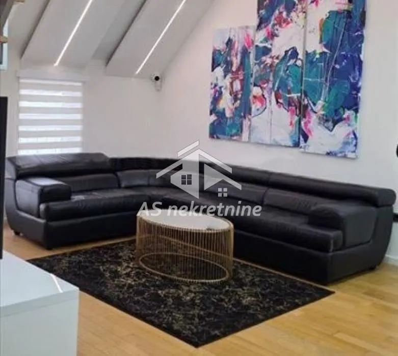 Izdavanje, stan, 130m², Bogoslovija, Palilula Sve Podlokacije