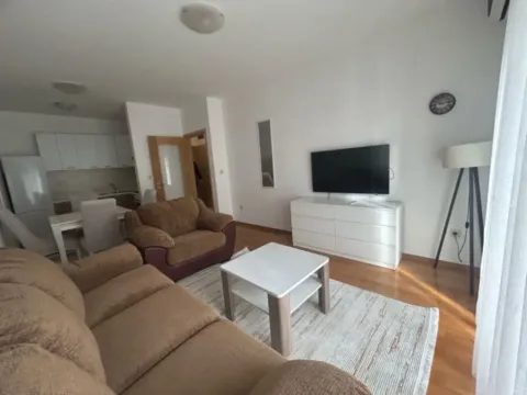 Izdavanje, jednosoban stan, 47m², Blok 6, Podgorica - image 2