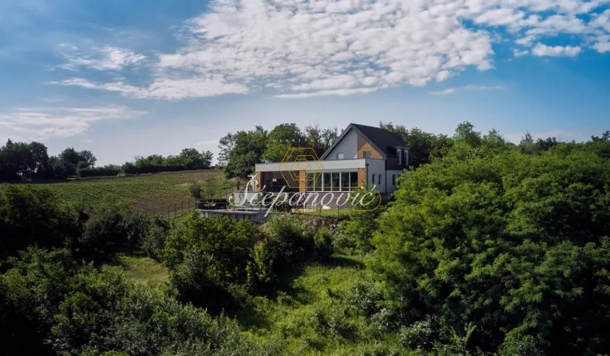 Rent, house, 295m², Sremski Karlovci, Novi Sad