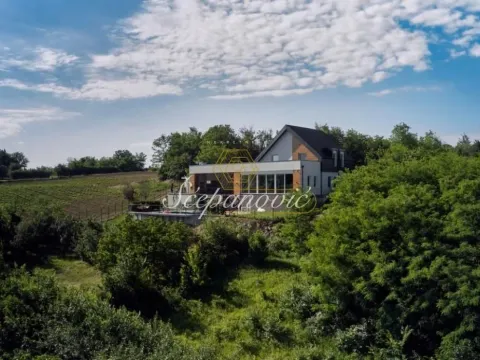 Rent, house, 295m², Sremski Karlovci, Novi Sad - image 23