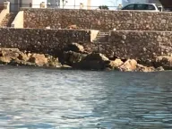 Prodaja, kuća, 358m², Dobre Vode, Bar - image 12